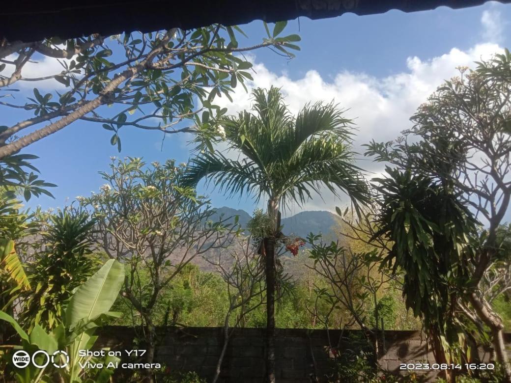 Tirta Bali Homestay بيموتيران المظهر الخارجي الصورة